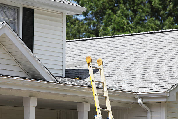 Affordable siding repair and maintenance services in Auburn, IL